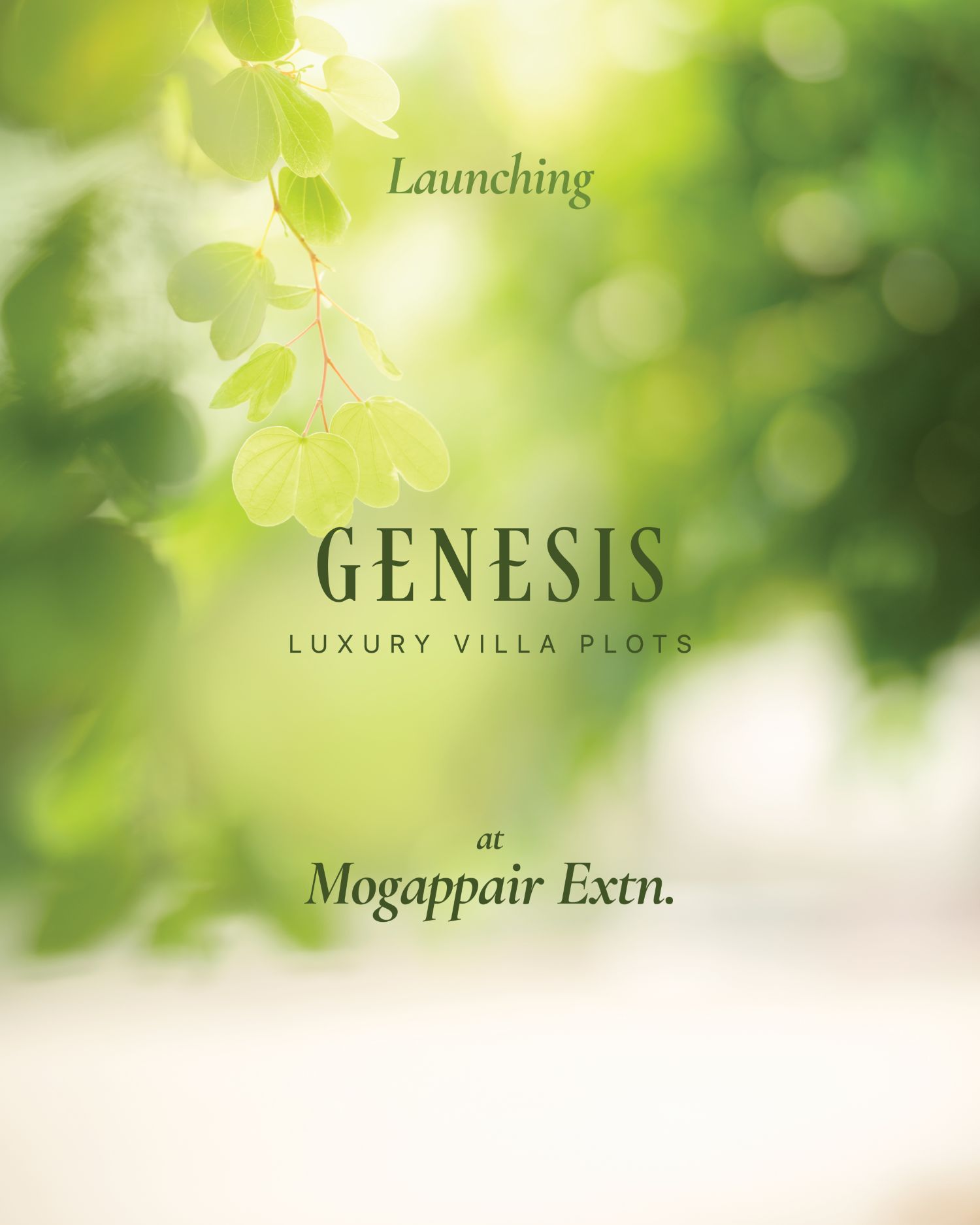 Genesis
